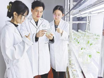 技改赋能黄梅产业发展节节高 今年计划完成技改投资23亿元