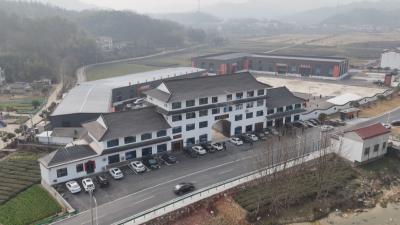 聚力建支点 项目建设年 夺取开门红 黄冈：对外贸易奏响发展奋进曲