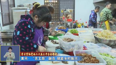 学习贯彻党的二十届三中全会精神｜黄冈：“农文旅”融合 赋能乡村振兴