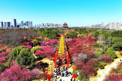街巷“老黄牛”用微光点亮城市温度——浠水三位“市容卫士”的坚守故事