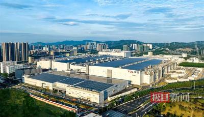 光谷首批概念验证基金群规模过亿元 每年支持至少60个初创项目