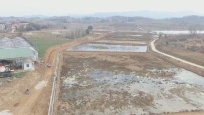 抢跑春天里 一线直击 浠水：高标准农田建设加速推进