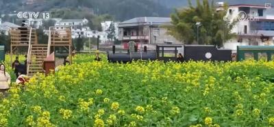 从民宿毁约到烤羊缩水，欺客宰客无异饮鸩止渴