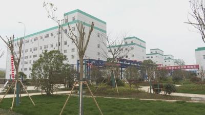 聚力建支点 夺取开门红 湖北龙祥药业：开足马力忙生产 奋力夺取开门红