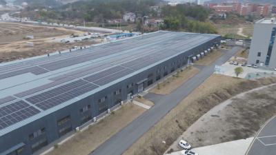 聚力建支点 项目建设年 夺取开门红｜黄冈：订单爆满  企业“忙碌模式”已开启