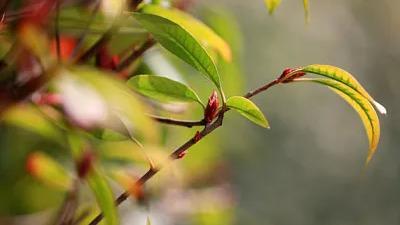 雨水节气湿气加重 是不是所有人都适合祛湿？