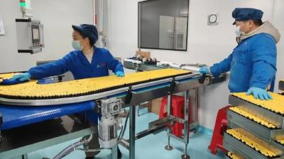 麻城超50家工业企业春节不停产冲刺开门红