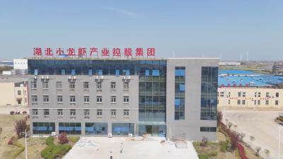抢跑春天里 一线直击｜ 黄梅：“链”上发力 助推小龙虾产业高质量发展