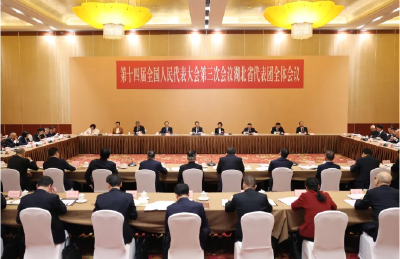 湖北代表团举行全体会议 审议政府工作报告