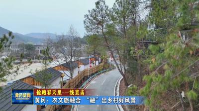抢跑春天里 一线直击｜ 黄冈：农文旅融合 “融”出乡村好风景