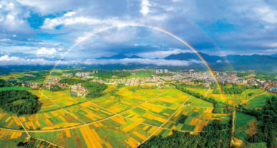 十年春约：“赏花经济”绘就乡村振兴新图景