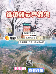 黄冈·樱花——谁道绯云只渡海？