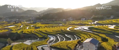 从“种田”到“种风景”