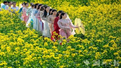 骆驼坳镇发展“电商+农旅康养”产业