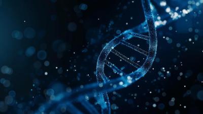 科学家观察到DNA开始解旋瞬间