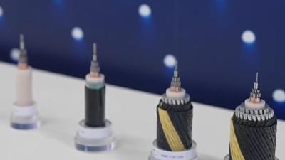 事关数据传输 我国取得又一新突破！