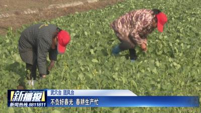 人勤春来早 | 不负好春光 春耕生产忙