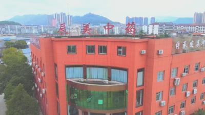 抢跑春天里 一线直击 湖北辰美：科技赋能 实现规模效益“双丰收”