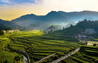 英山财政全链条服务赋能企业发展