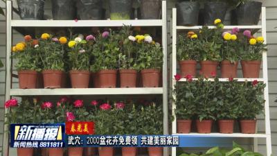 春光美｜武穴：2000盆花卉免费领  共建美丽家园