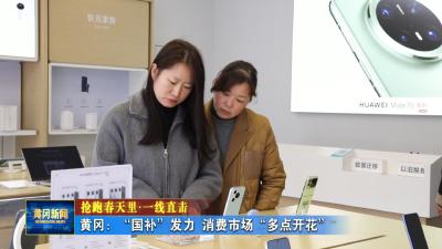 抢跑春天里 一线直击｜ 黄冈：“国补”发力 消费市场“多点开花”