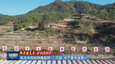 聚力建支点 项目建设年｜ 我市中药材种植面积131万亩 总产量全省第一