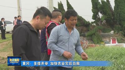 黄冈：多措并举 加快农业灾后自救