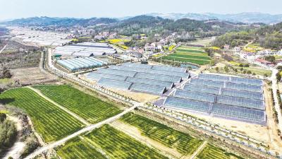 湖北绘制大面积提单产路线图 部署十大行动 亩产提高2公斤