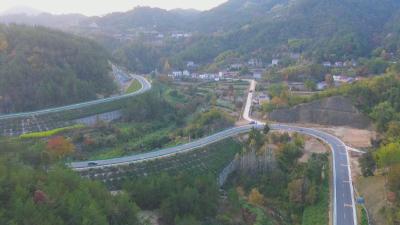 聚力建支点 项目建设年｜ 我市中药材特色供应链平台年交易额超30亿元