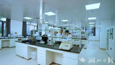 黄冈科技企业加速器园区专注于招引科技型企业—— 保姆式服务助企业快速发展