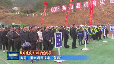 聚力建支点 项目建设年｜ 我市中药材种植面积131万亩 总产量全省第一