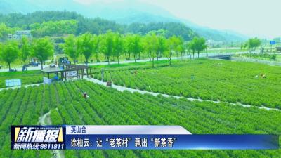 黄冈人黄冈事｜  徐柏云：让“老茶乡”飘出“新茶香”