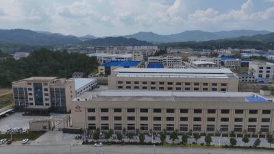 抢跑春天里 一线直击 ｜ 湖北怡心缘：小蜡烛香飘国际市场