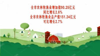数看黄冈新亮点｜ 我市一季度实现农林牧渔业增加值90.25亿元