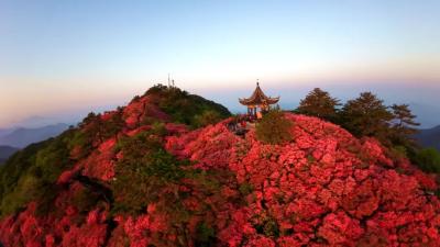 234家个体工商户破茧成蝶  ——麻城市蹚出全省“个转企”改革试点新路径