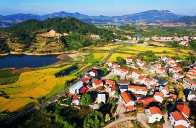全国最美自驾路命名宣传活动在黄冈举行 牛车河环库乡村振兴产业路入选“最美”榜单
