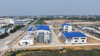 奋力项目建设年 推进四大攻坚行动丨黄梅濯港：“接二连三”擦亮国家农业产业强镇“金名片”