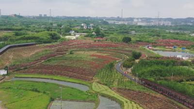 聚力建支点 一线直击｜甬黄旅合作结硕果 山海协作谱新篇