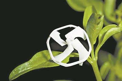 十堰张湾：国家航空飞行营地正式投用