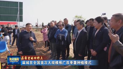 在希望的田野上｜ 麻城在全国首次大规模推广双季薯种植模式