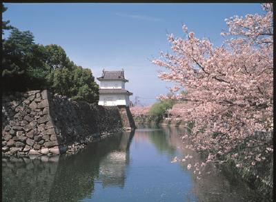 第七届两岸（湖北）青年东湖交流季启动