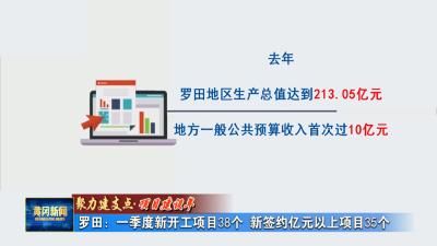 聚力建支点 项目建设年｜ 罗田：一季度新开工项目38个 新签约亿元以上项目35个