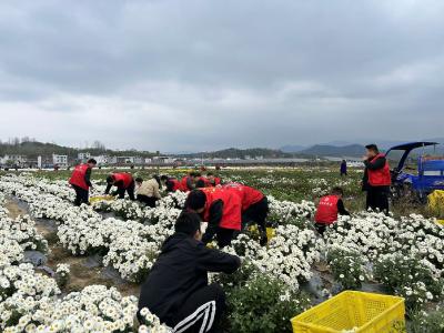 麻城市黄土岗镇从“三心”到“三力”解锁干部提能的实践密码