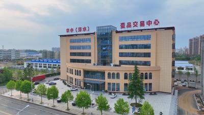 聚力建支点 黄冈答卷｜浠水鸡蛋：从“百里挑一”到“百亿产业”