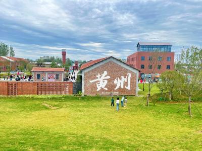 叶路洲棉朵朵：田园拾趣荡漾田野牧歌