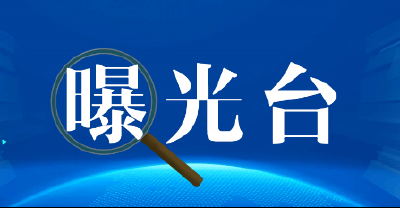 红安7起典型案例曝光
