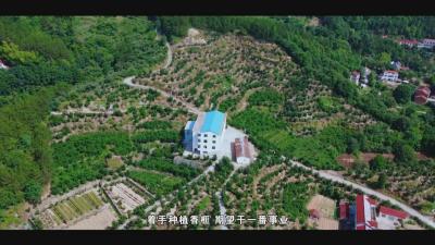 聚力建支点 返乡创业时｜郑怀：12年种树 白领变身“全国林草乡土专家”