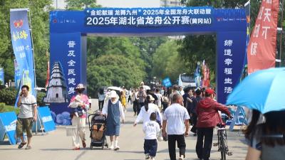 龙舟竞渡引八方来客 传统民俗绽放时代新彩