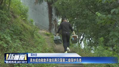 浠水成功救助并放归两只国家二级保护鸟类