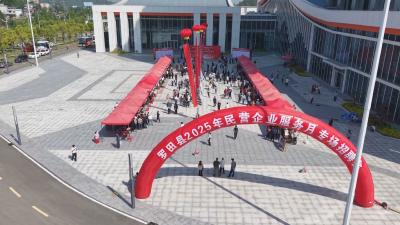 线上线下齐发力！我市民营企业服务月活动火热进行